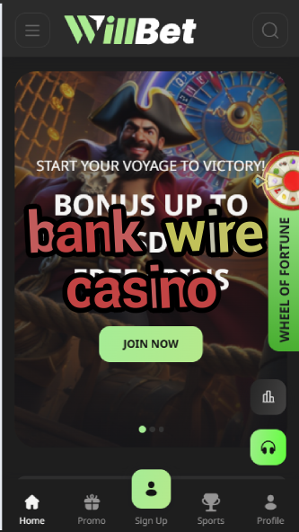 Bank Wire Casino - Wire Transfer Casino Deposits-casinoorder.vip